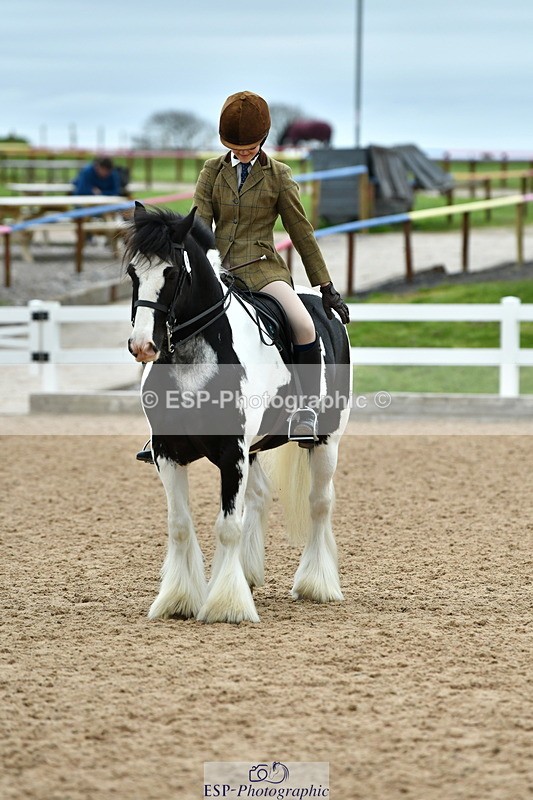 230416A-120014-04273 - Cls 72+73+69 Welsh, Trad Cob and Foreign