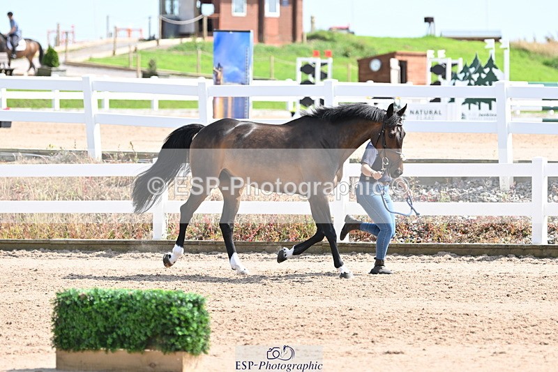 240717A-152156-02785 - Trot Up 3pm to 4pm