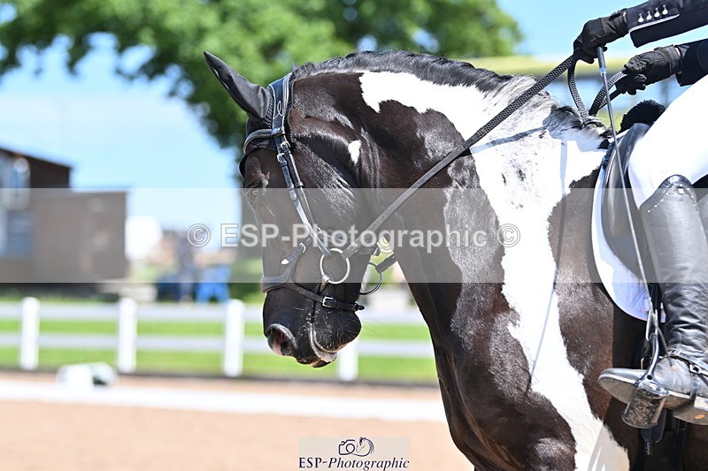 240621A-132410-03733 - Cls 8 BD Elementary 53