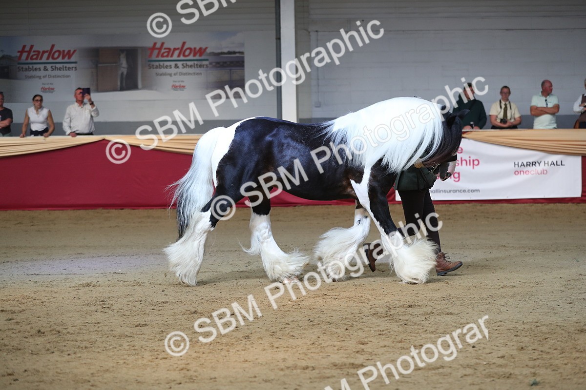 SBM_01369 - Class 3a Area IH Pre Vet