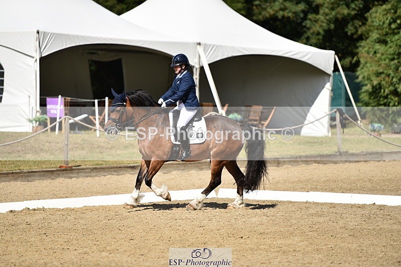 140110A-050556-12372 - 158-Alison.Crimp-Crwys.Beau