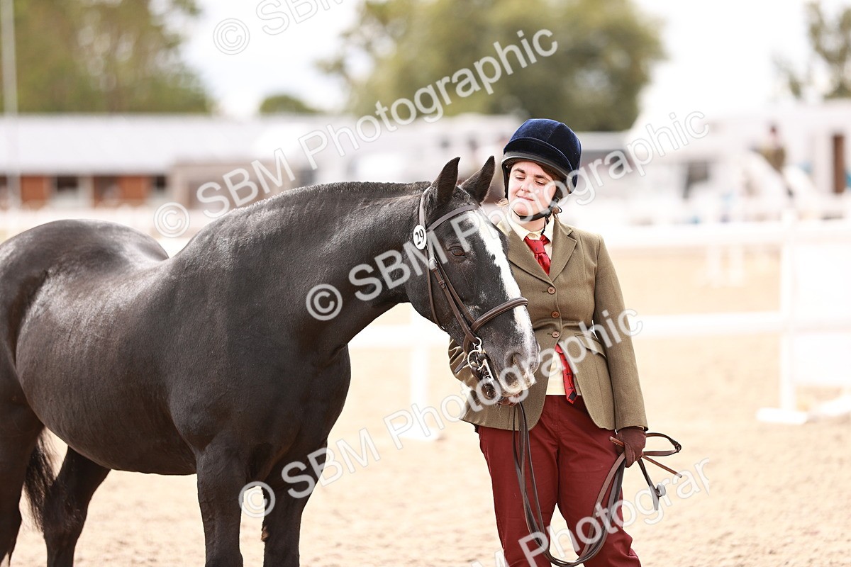 SBM_16334 - Class 413 - Best Condition - Adult