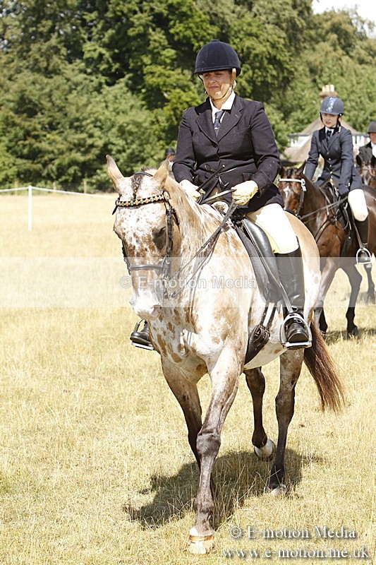 _BS_0699 - BVRC Show 2018 Ring 1