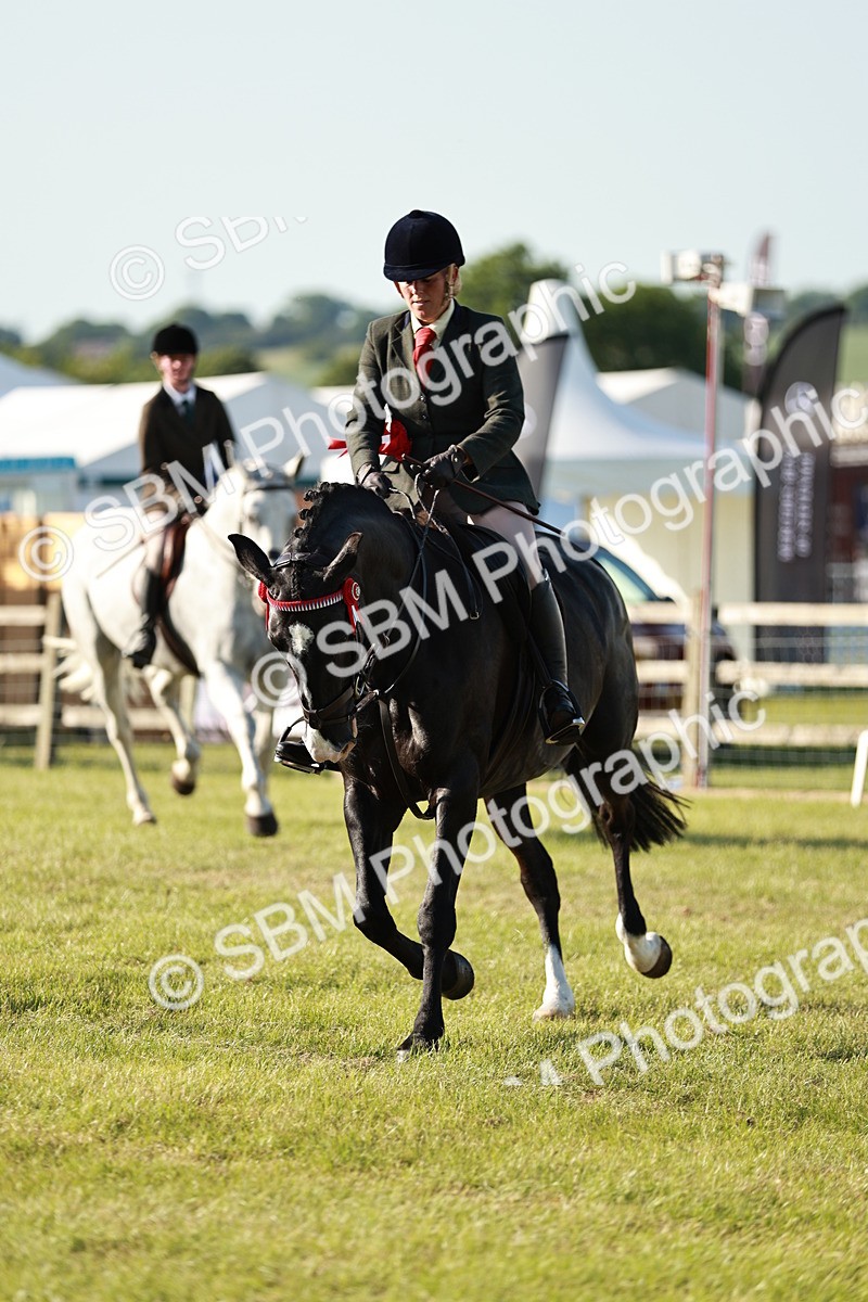 SBM_20095 - Class 115-116 - LIHS BSHA Rising Star Working Hunter & Show Horse