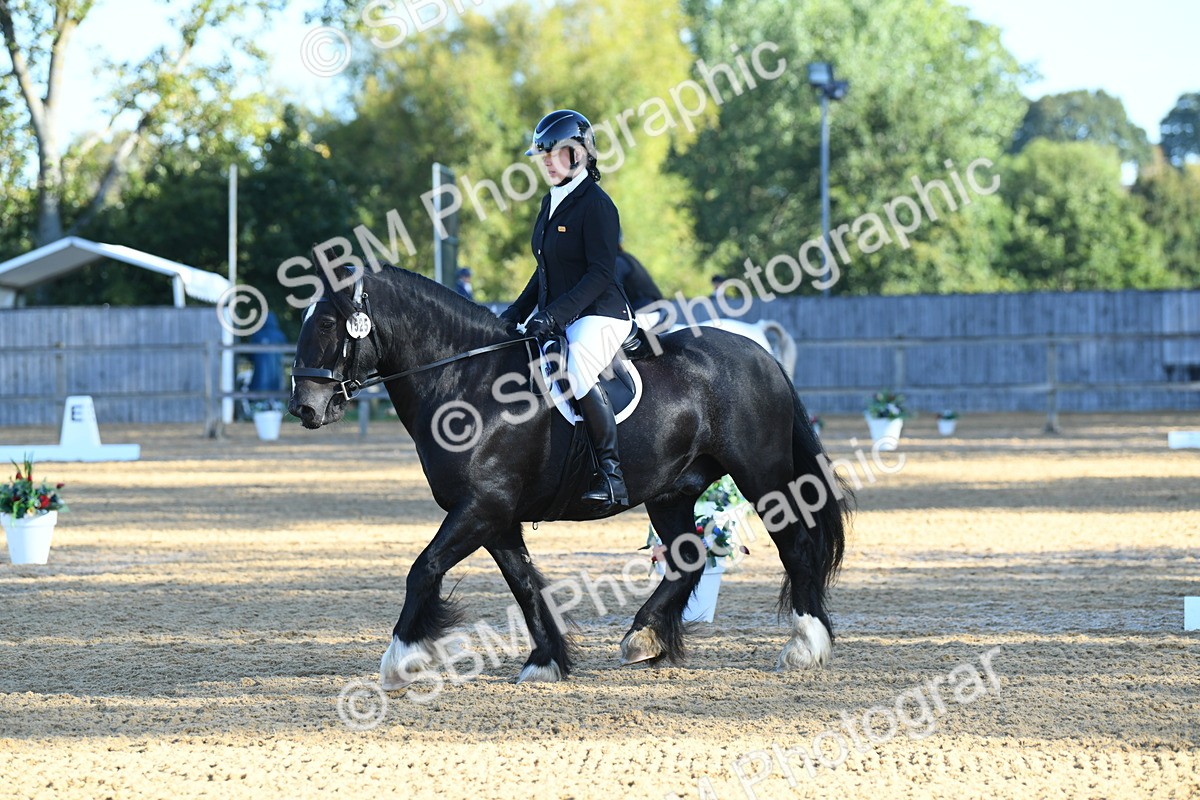 SBM_14509 - D4 - Small Tour Championship - Intro B