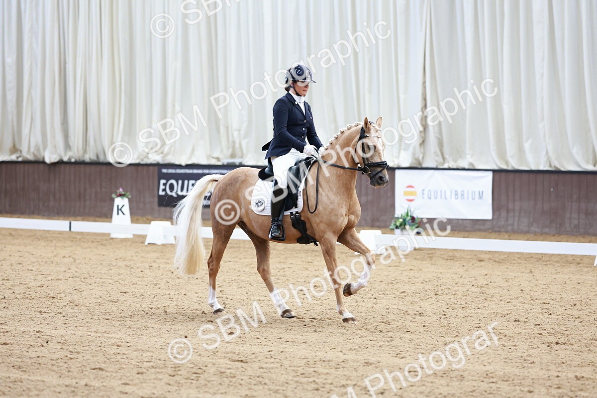 SBM_017293 - Class15 - FEI Pony