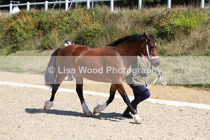 3E7A9556 - Class 32: Best Grass Kept