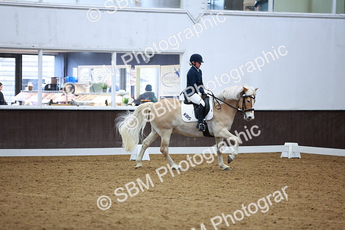 SBM_002876 - Novice Music