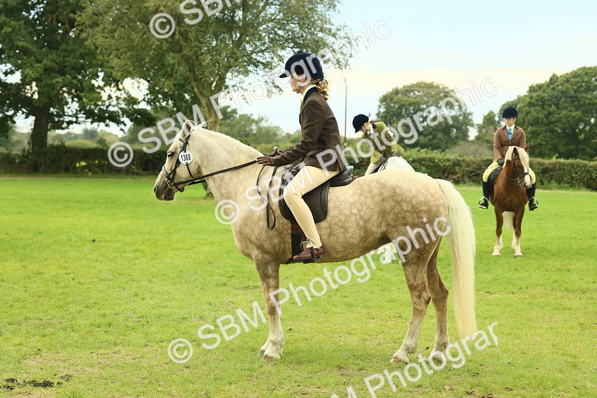 SBM_72035 - S60 - Mountain & Moorland Ridden Large Breeds
