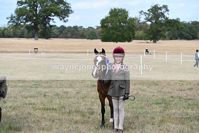 WJ6_6294 - Class 19 In-hand Veterans (Uploaded correct folder)