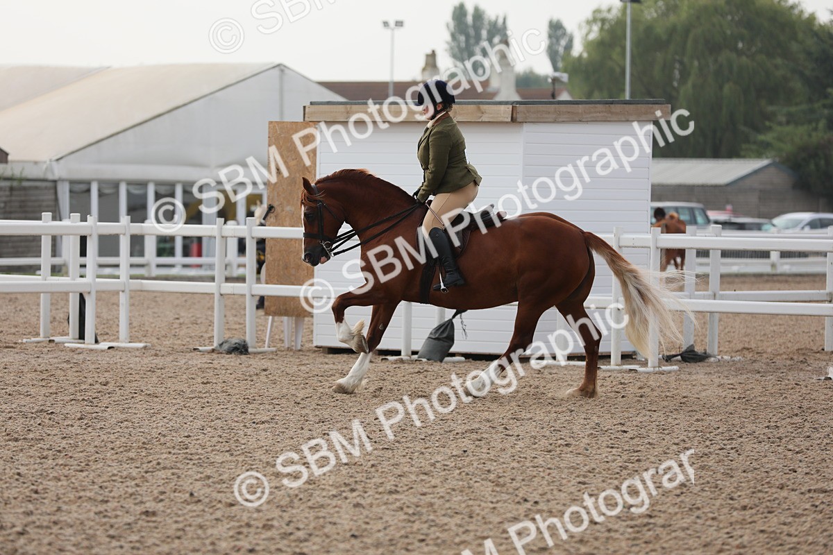 SBM_10070 - Class 302 Ridden M&M -Large Breeds