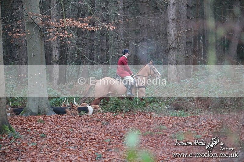 HUPY 261224 73 - Pytchley with Woodland Hunt Boxing Day Meet 26th December 2024