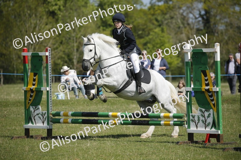 20250427-2186 - Class 13 - Novice Jumping 60cm
