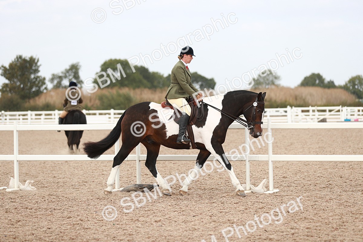 SBM_16652 - Class 214 Ridden Cob