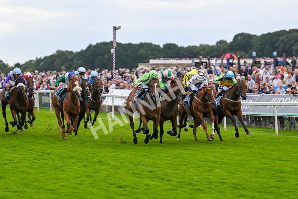 210824-Race 1-Jm Jungle-4500 - Race 1 1.50pm Symphony Group Handicap