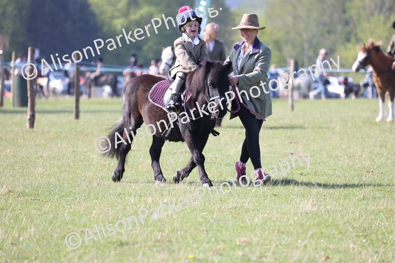 20250427-0152 - Class 30 - Tiny Tots Lead Rein
