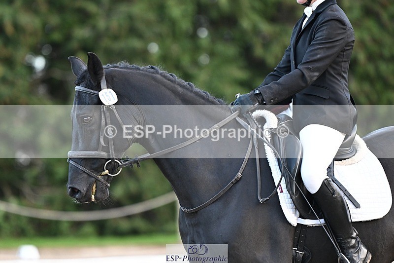 231110-134517-01040 - Cls 4 Novice 39Q