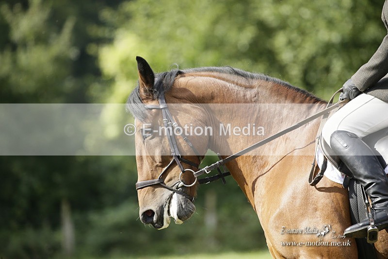 BVRC 120921 332 - Bourne Valley Riding Club UA Dressage & Show Jumping 12/09/21