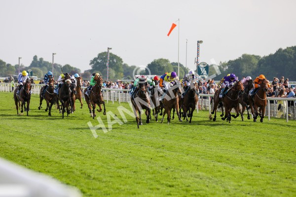 170524-Race 6-Riot-2278 - Race 6 4.45pm Yorkshire Equine Practice Handicap