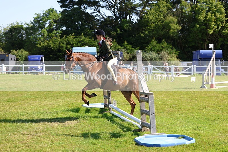 3E7A5908 - Class 27: Novice Working Hunter Pony