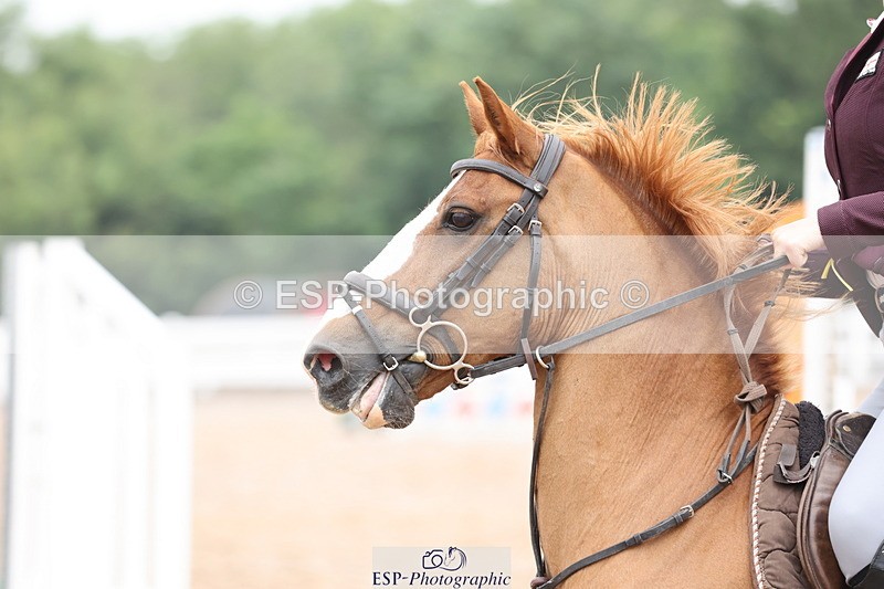 240630A-101524-11794 - Cls 30 British Novice and 80cm Open