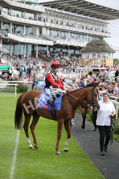 yr17082022r5-3 - Race 5 4.10pm Sky Bet Stayers Stakes