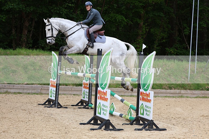 3E7A9615 - Class 9: Senior Foxhunter/1.20 open