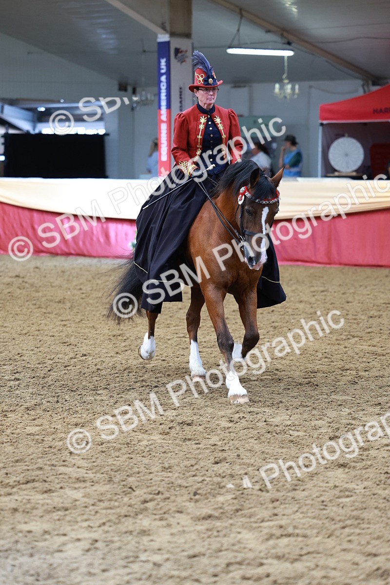 SBM_14803 - Class 107 - Ridden Costume - Astride Adult  (20+)