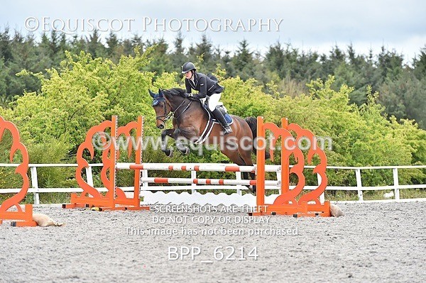 BPP_6214 - SUN CLASS 37 BR NOVICE/90CM