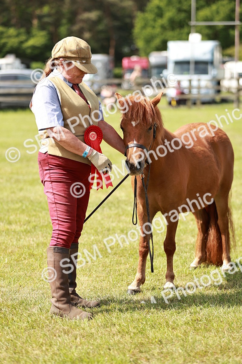 SBM_02461