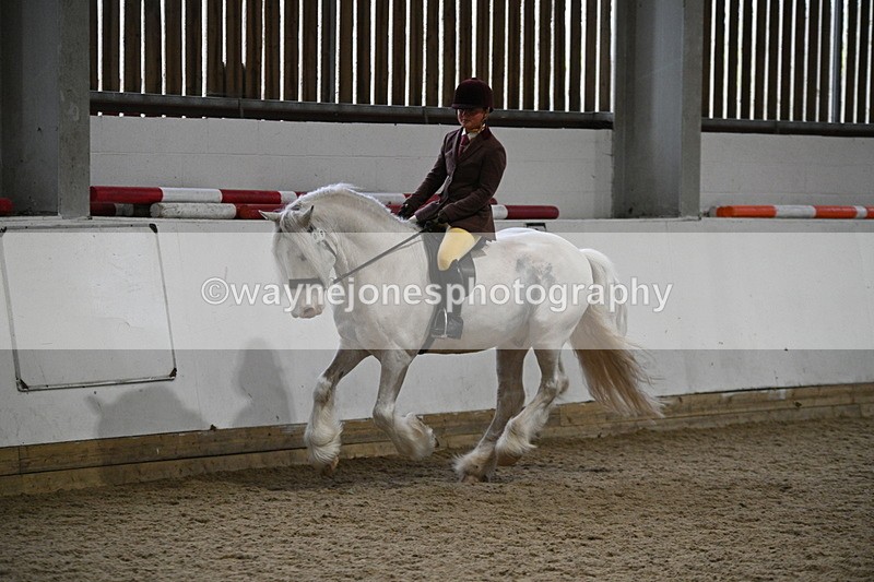 WJ7_4188 - Class 17 Ridden Cob