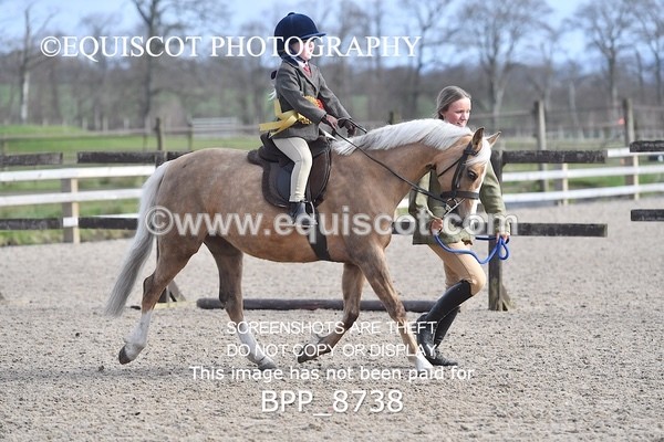 BPP_8738 - TRAINING STAKES