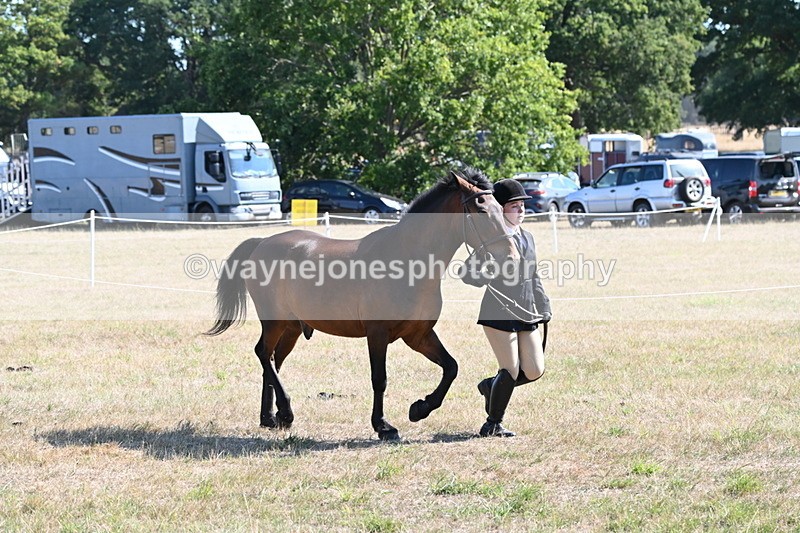 WJ6_7531 - Class 34 Judges Choice