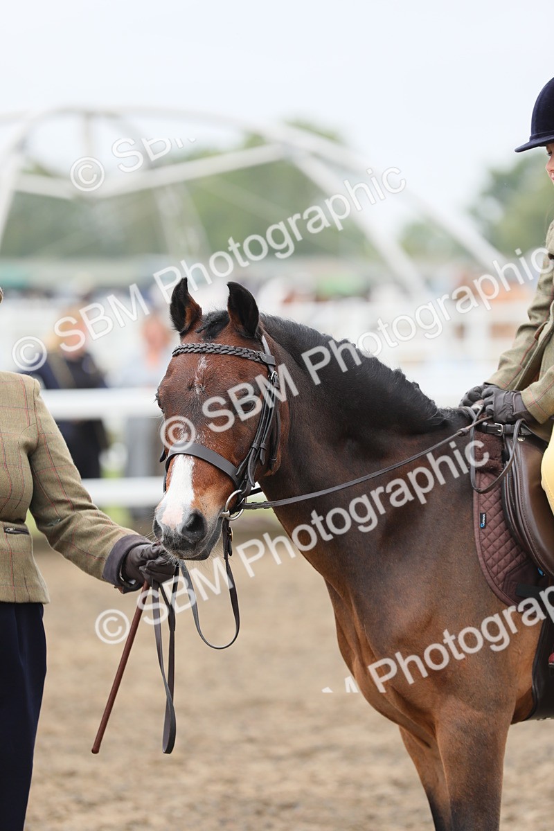SBM_21837 - Class 806 - Young ridder 10 Yr & Under