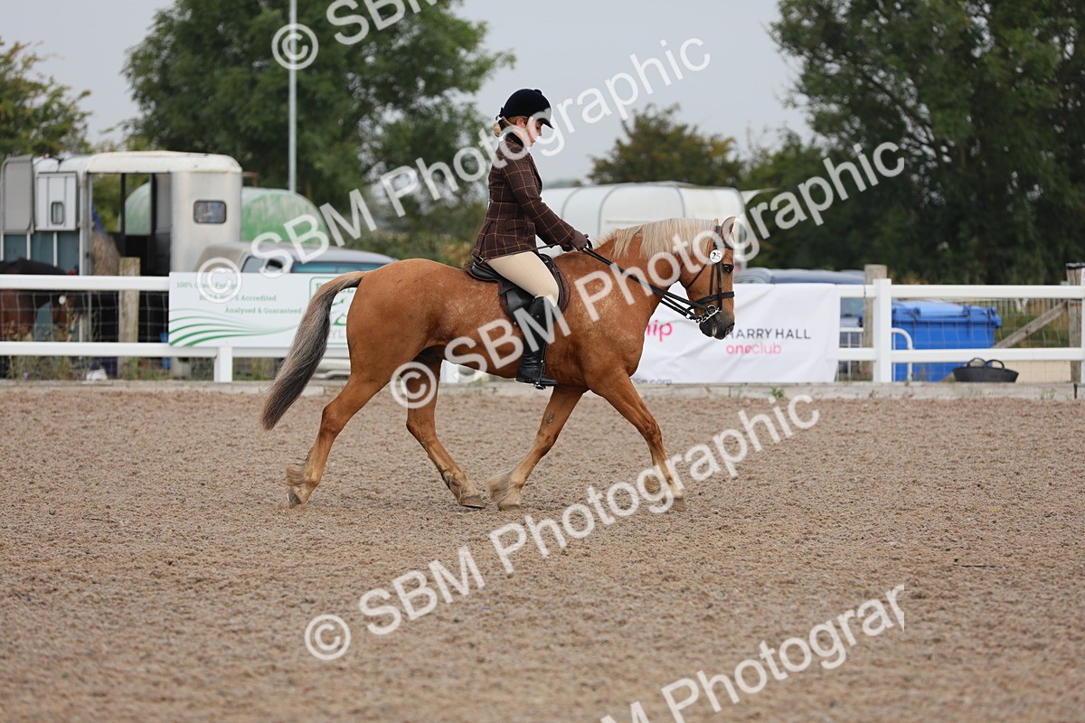 SBM_09984 - Class 302 Ridden M&M -Large Breeds