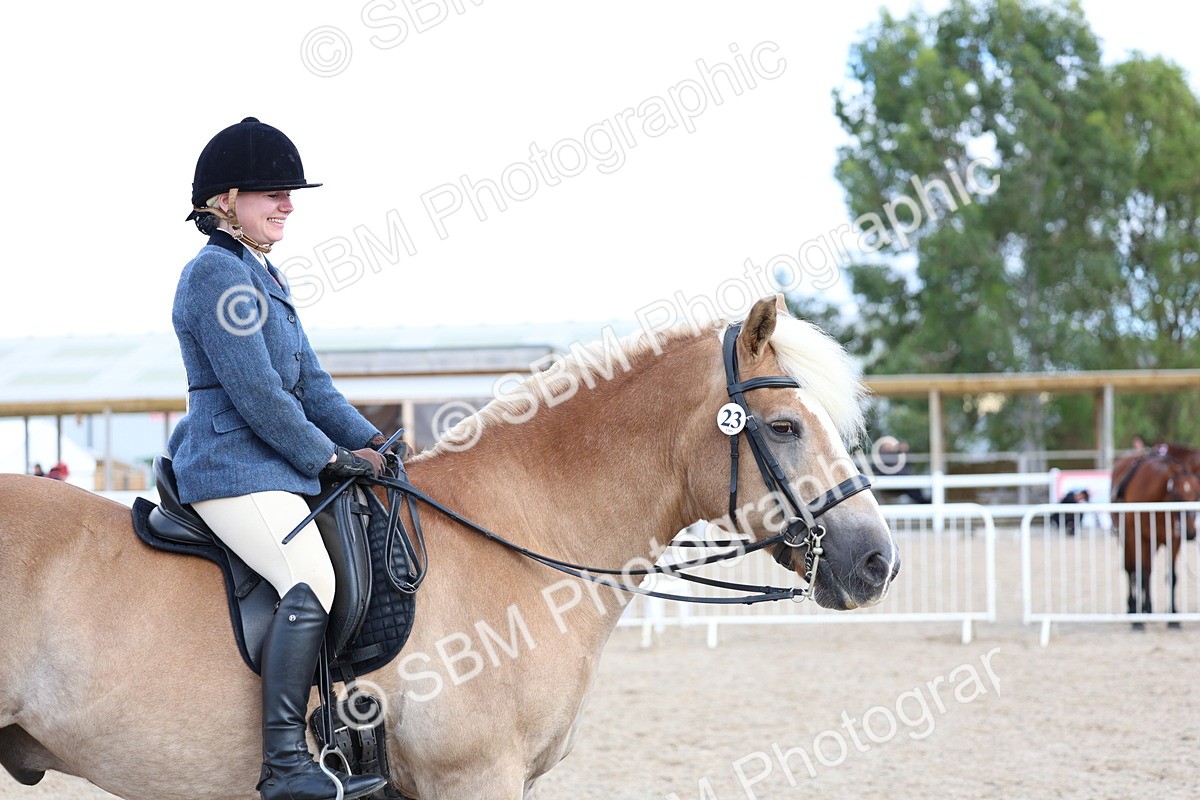 SBM_17239 - Class 315 - Best Horse - Rider Combination