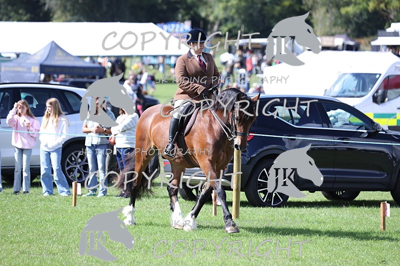 APP_3475 - Class 12 M&M ridden