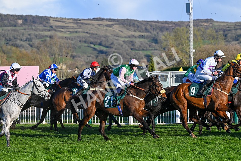 130326-Race 6-Willewonga-3187 - 13th March