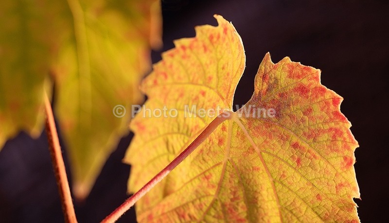  - Details & Abstracts / Details & Abstrakte Bilder