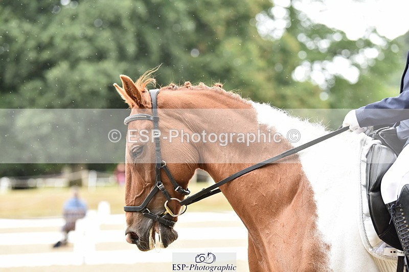 140109A-233024-08487 - 025-Lis.Gillingham-Comyn.Martin
