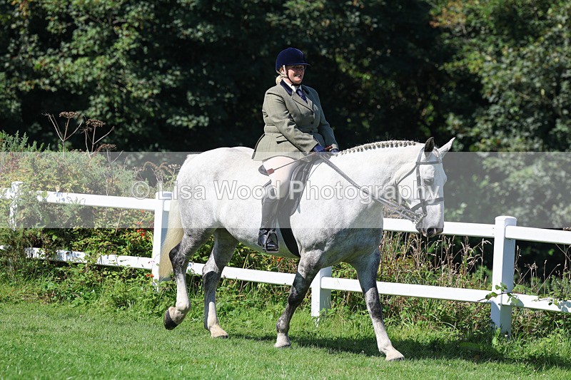 3E7A8318 - Class 4: Novice working Hunter