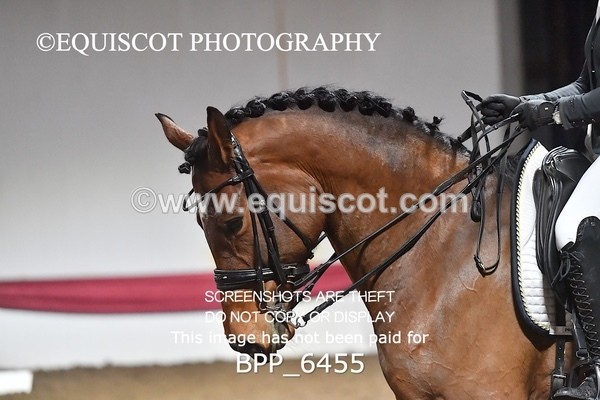 BPP_6455 - 17 Elaine Sarjeant