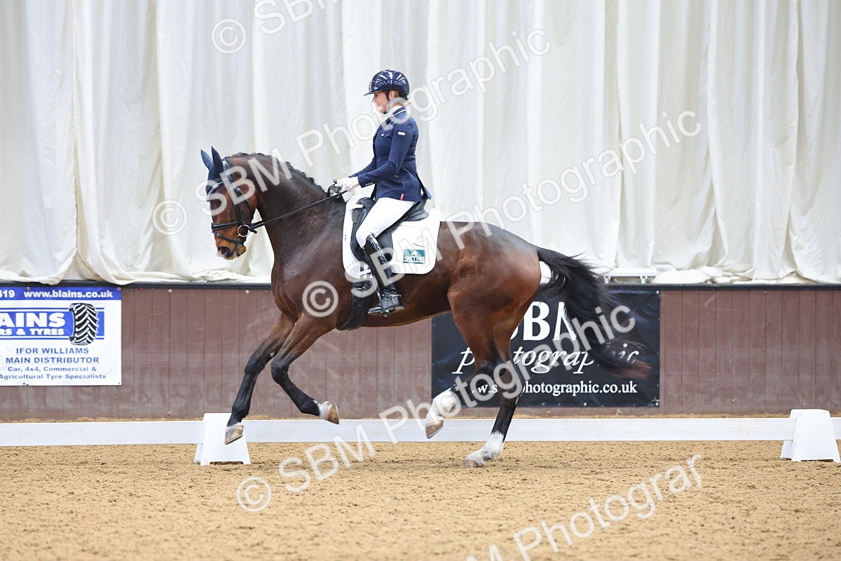 1I0A8791 - Class 4 - Novice 4