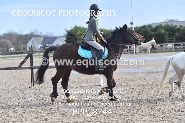 BPP_8744 - TRAINING STAKES