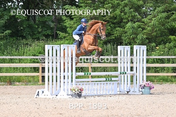 BPP_1893 - CLASS 18 SUN British Novice/ 90cm Open