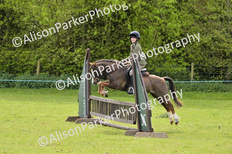 20260426-2384 - Class 21 - Working Hunter Ponies