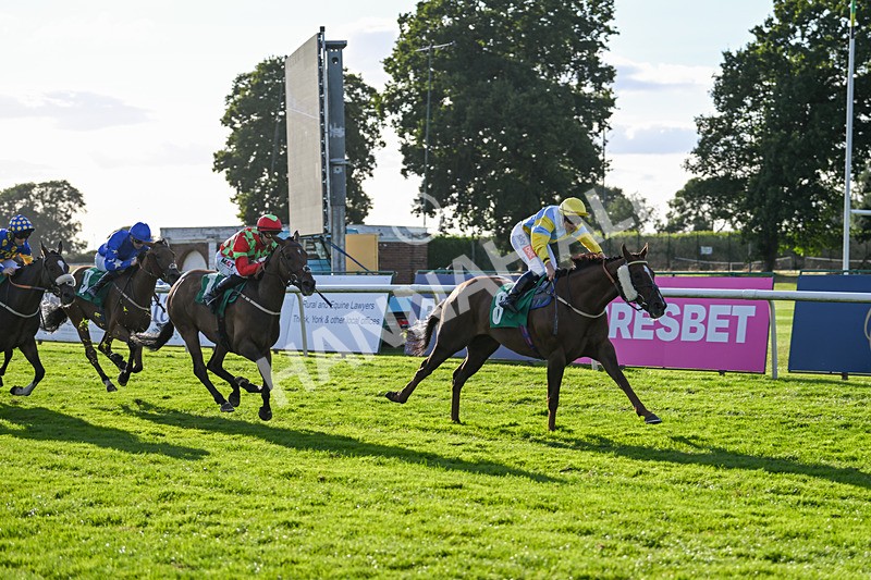 160824-Race 4-Jamih-9340 - Race 4