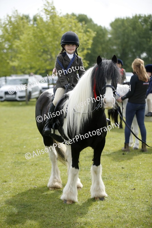 20260426-3483 - Class 11 - Best Mane and Tail