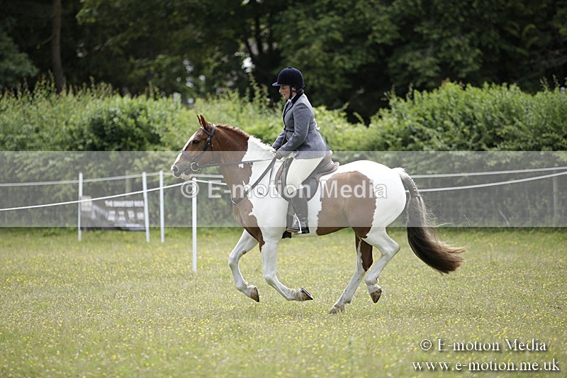 BVR160717-1895 - Ring 1 BVRC Show 16/07/17