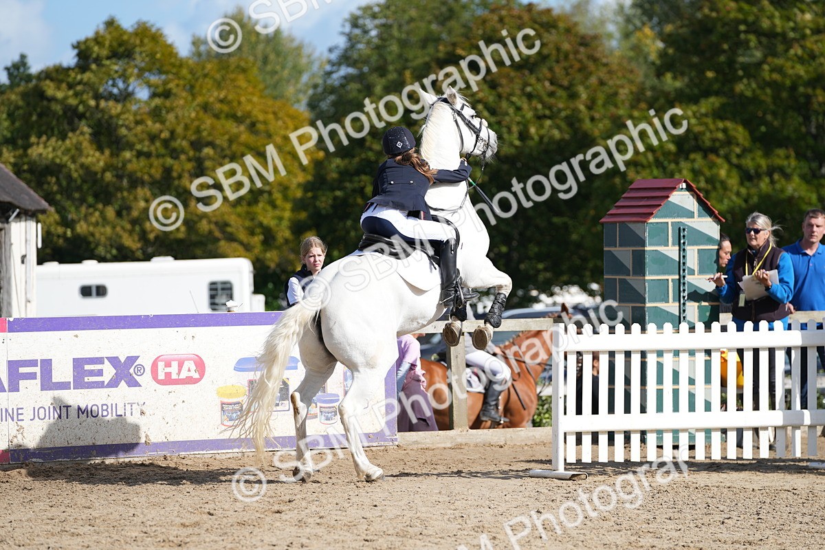 SBM_16892 - J58 - Clear Round 50cm